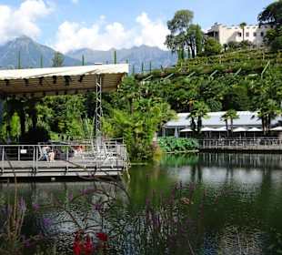 Am Teich der Gärten von Trauttmansdorff