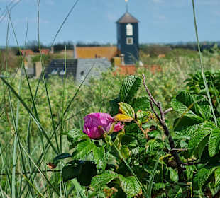 Stadtrundgang Callantsoog