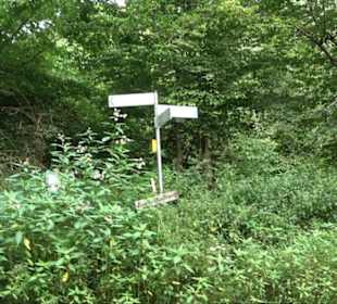 Sonnenaufgangs-Rundwanderung Rübgarten