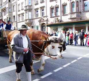 Bierführerverein Fürth