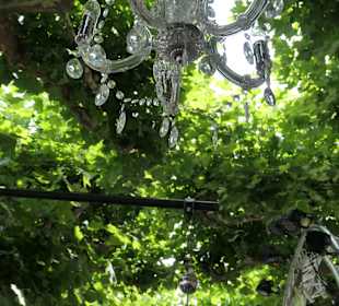 Vrijthof Maastricht: gesperrt für A. Rieu Konzerte