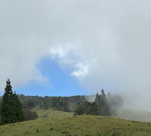 Unterwegs auf dem Chemin des Tamarins