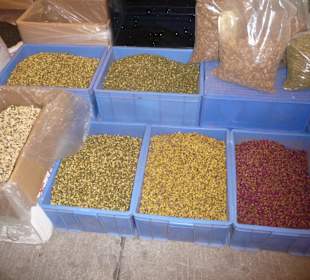 Auswahl an Flower Teas