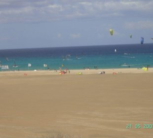 Hier kann man stundenlang zuschauen