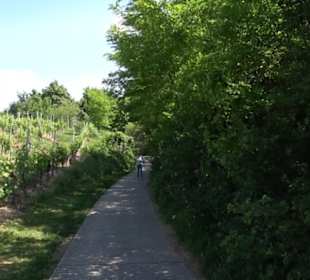 Früchtetrauf - Wurmlinger Kapellenwegle