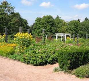 Park Rosenhöhe 6