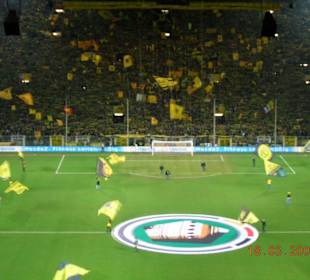 Blick auf die Südtribüne