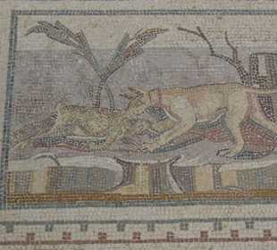 Mosaik Museum in El Djem