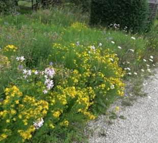 ALB-GOLD Naturgarten