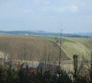 Moorwald - Blick ins Land