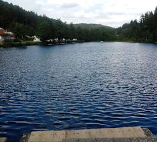 Sägmühlweiher bei Trippstadt, KL, im Pfälzer Wald 