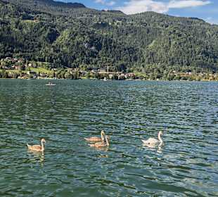 Ossiacher See