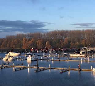 Ausblick