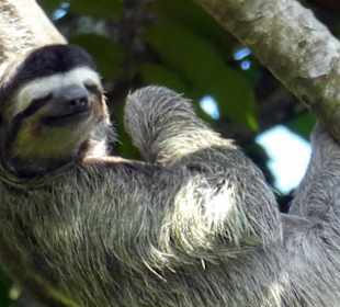 Relax Day Tour mit Federico. Eine kleine Auswahl