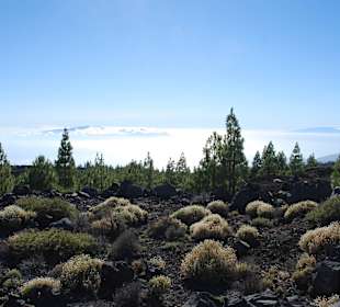 Nationalpark Blick auf La Gomera