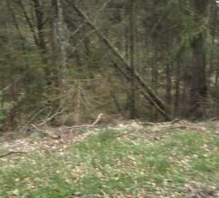 Wanderung Heiligental