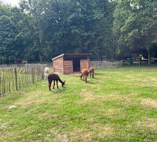 Steinerbos Belevenispark