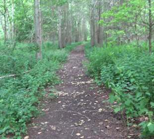 Wanderrunde Emeringen zum Rechtenstein