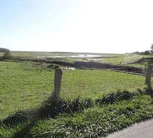 Eine weite Landschaft