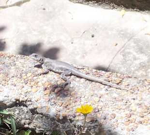 Einer der Bewohner des Camps 