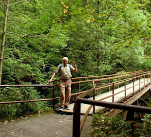 Brücke zwischen Stiller und Wilder Klamm