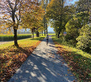 Wandern Hermagor - Pressegger See