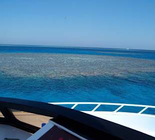 Rafa Koralowa w drodze na Rajską Wyspę