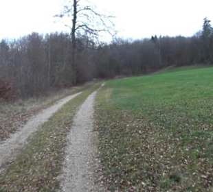 Brühl-Brünnele Ehestetten