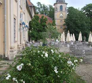 Ausschnitt von Schloss Fasanerie bei Eichenzell