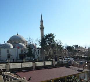 Altstadtgemäuer bei Sonnenschein