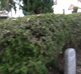 Friedhof St. Bernhardt
