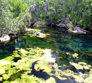 Süßwasserteiche in XEL HA