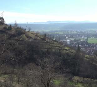 Hirschauer Spitzbergwegle (Premiumspazierwanderweg