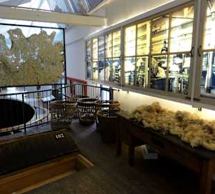 Blick in die Museumsräume