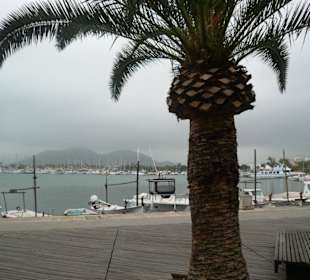 Puerto Alcudia