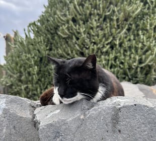 Ausflug nach Lanzarote