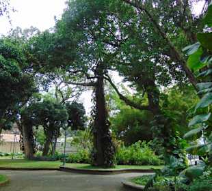 Stadtrundgang San José