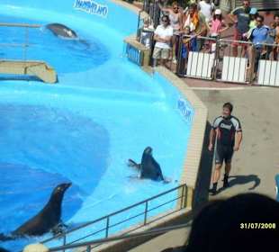 Marineland