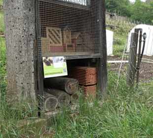 Naturinfopfad Weggental