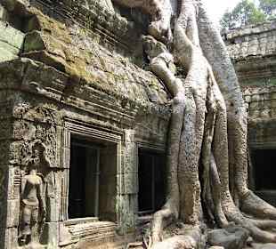 Ta Prohm