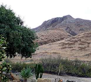 Inseltour Porto Santo