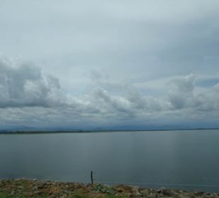 Elefantenreiten Sigiriya