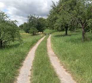 Wanderweg Ammerbucher Gigeleswegle