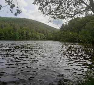 Seehofweiher