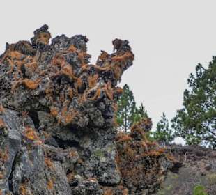 Bizarre Felsengebilde