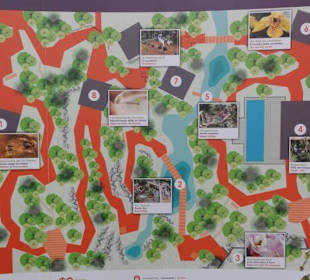 Raffeiner Orchideenwelt