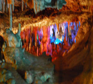 Ein traumhafter Anblick