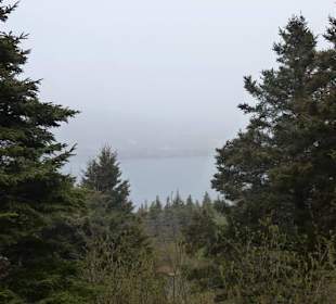 Die Nebel von Avalon