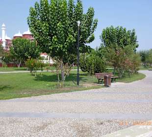 Promenade am Strand, schön bepflanzt