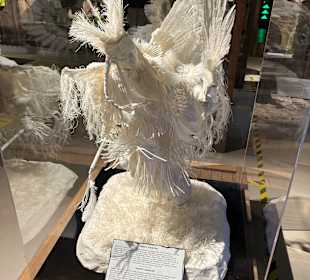 Museum Ripley's Believe It or Not!